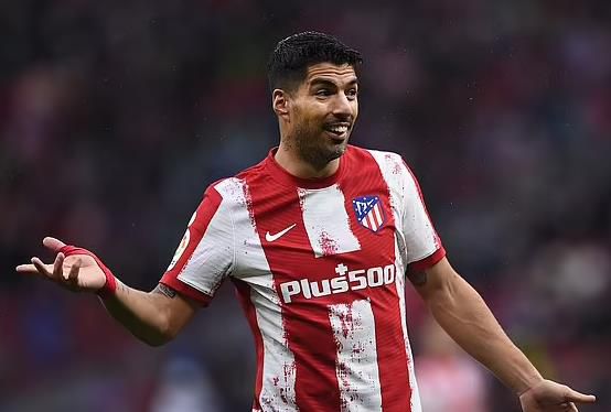 姐姐的大腿